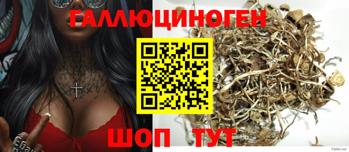 Галлюциногенные грибы прущие грибы  Псилоцибиновые грибы GOLDEN TEACHER  Вход с VPN  Краснознаменск 