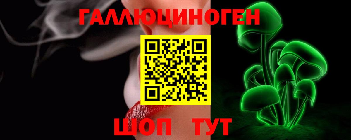 Галлюциногенные грибы Psilocybine cubensis Краснознаменск